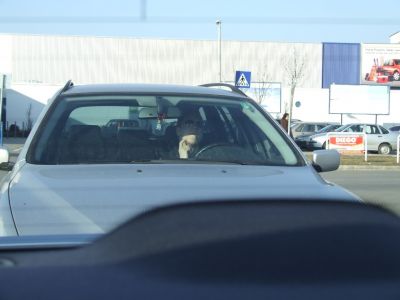 A teljes méretű képhez kattints ide