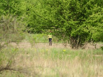 A teljes méretű képhez kattints ide