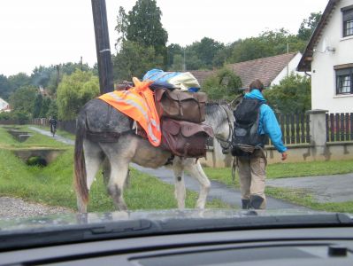 A teljes méretű képhez kattints ide