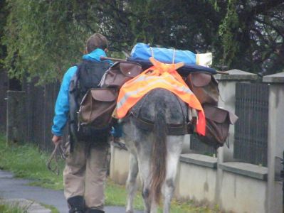 A teljes méretű képhez kattints ide