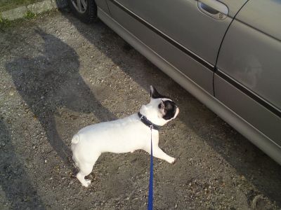 A teljes méretű képhez kattints ide