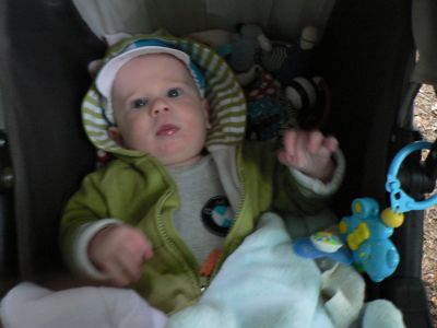 A teljes méretű képhez kattints ide